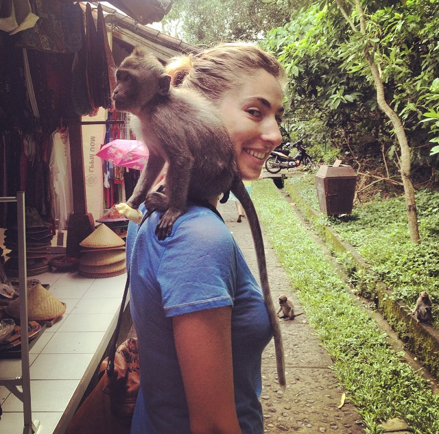 ele with monkey